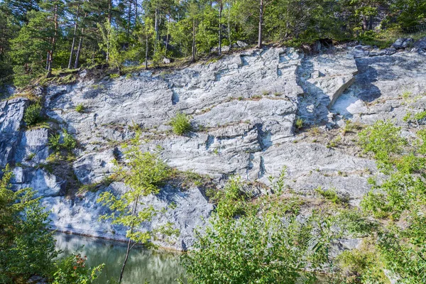 Prachtig Uitzicht Het Natuurlandschap Rotskust Meer Hoge Pijnbomen Achtergrond Zweden — Stockfoto