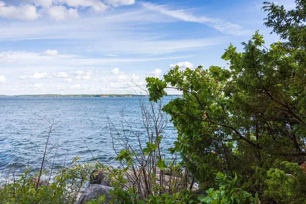 在平静的夏日 美丽的自然景观 波罗的海海岸绿树成荫 蓝天长满白云 — 图库照片