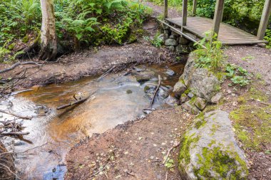 Orman deresinin üzerindeki küçük köprünün güzel manzarası .