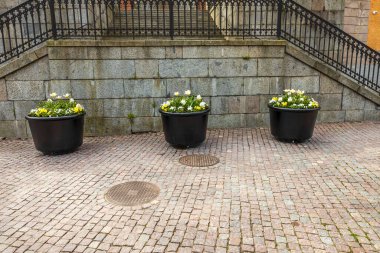 Şehir binasının dışındaki büyük saksılarda güzel bir çiçek manzarası. İsveç.