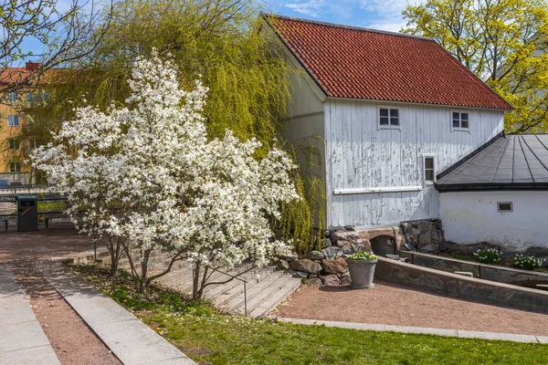 Beyaz Eski Evlerin Arka Planında Çiçek Açan Ağaçların Güzel Manzarası — Stok fotoğraf