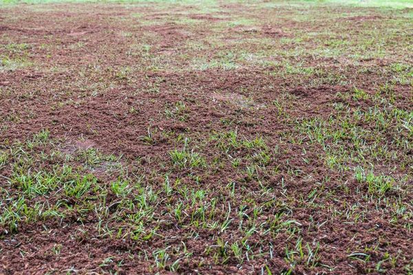 Landscape View Newly Spread Earth Lawn Restoration Work Sweden — Stock Photo, Image