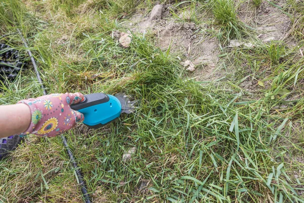 Close View Female Hand Cutting Grass Garden Scissors Sweden — Stock Photo, Image