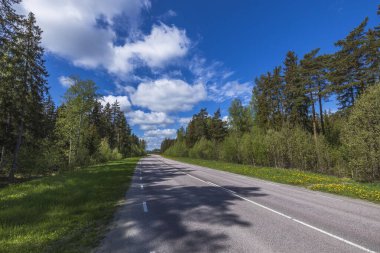 Yaz günü güzel doğa manzarası. Yeşil ağaçlar, mavi gökyüzü ile birleşen bir asfalt yol. İsveç.