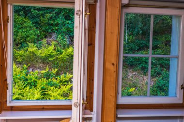 Yaz günü açık pencereden bahçeye güzel bir manzara. İsveç.