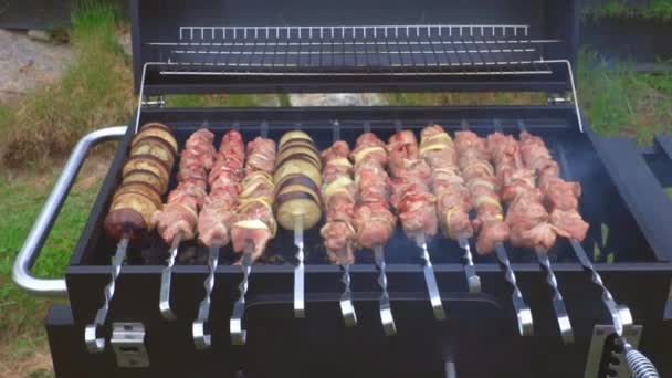 Vista Del Proceso Parrilla Barbacoa Pincho Concepto Alimentación Salud — Vídeo de stock