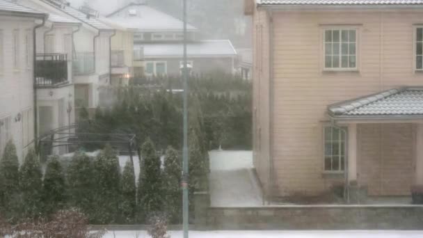 Прекрасный Вид Сильный Снегопад Начале Зимы Зимняя Природа Швеция — стоковое видео