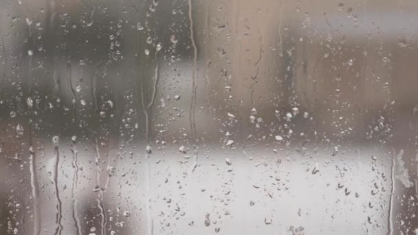 Zamknij Makro Widok Kropel Deszczu Śniegiem Szybie Okna Piękne Jesienne — Wideo stockowe