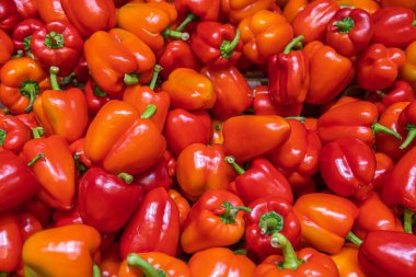 Kırmızı biberin yakın görüntüsü izole edildi. Sağlıklı gıda konsepti. 