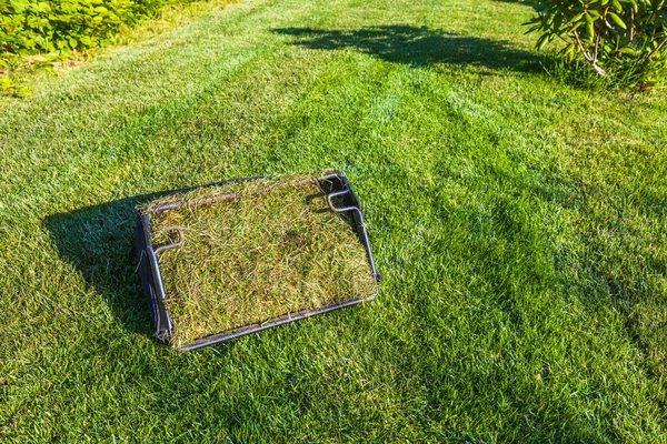 Close View Holder Cut Grass Green Lawn Sweden —  Fotos de Stock