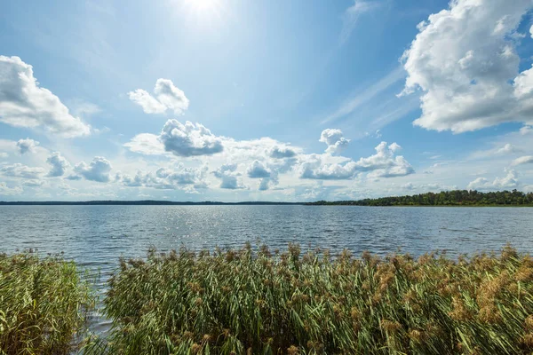 Belle Vue Sur Nature Avec Vue Sur Lac Suède — Photo