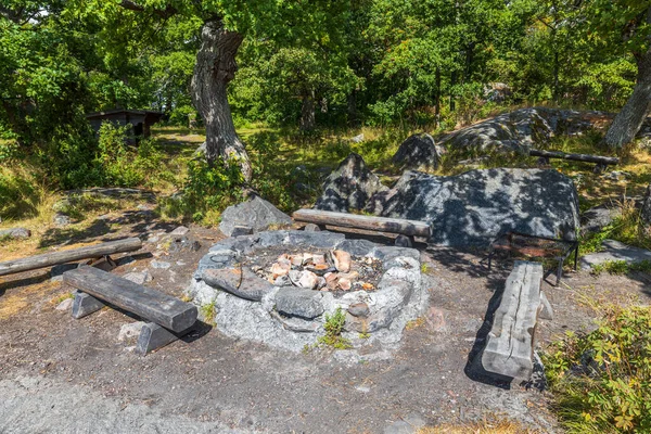 Vacker Utsikt Över Utomhus Grillning Picknickplats Gröna Träd Bakgrund Sverige — Stockfoto