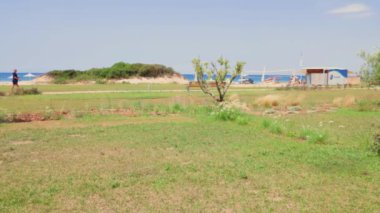 Otel odasından Seaview. Mavi gökyüzü arka planında yanmış çimenler. Yunanistan. Nea Potidaea. 