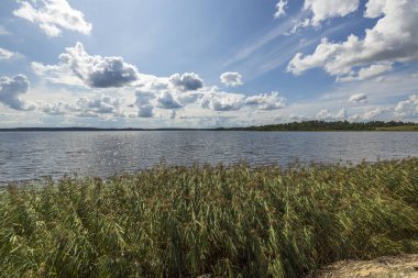 Yeşil bitkiler ve göl su yüzeyi mavi gökyüzü ve beyaz bulutlarla birleşiyor. İsveç.