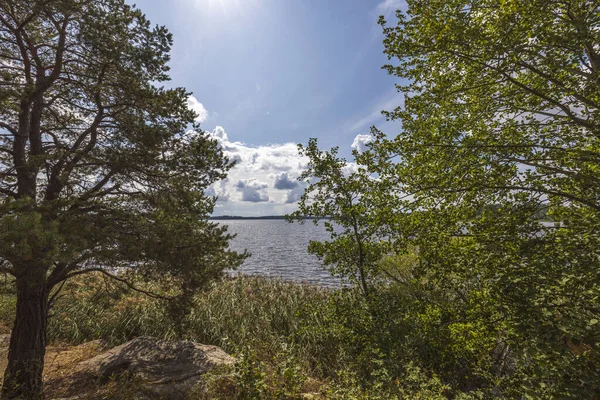 夏の日に湖で美しい景色 暗い水面 緑の松の木と白い雲と青空 スウェーデン ヨーロッパ — ストック写真