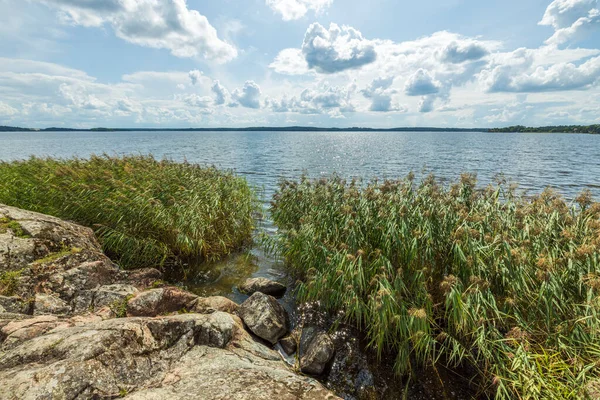 Les Plantes Vertes Surface Eau Lac Fusionnent Avec Ciel Bleu — Photo