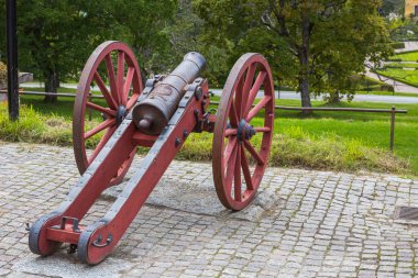 Yeşil bitkilerin arka planındaki eski model topların yakın görüntüsü. Tarihsel altyapılar. İsveç.