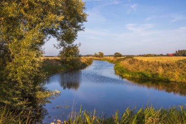 Güzel doğa manzarası arka plan görüntüsü. Nehir kıyısındaki yeşil bitkiler. Sıcak bir yaz günü. İsveç. 