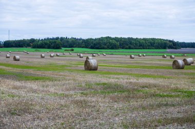 Güzel bir tarla manzarası ve biçilmiş saman balyaları. İsveç. 