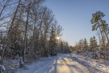 Kar ormanlarında gün batımının muhteşem renkli manzarası. Güzel doğa kış arka planı. İsveç.