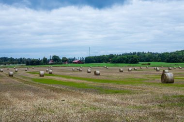 Güzel bir tarla manzarası ve biçilmiş saman balyaları. İsveç. 
