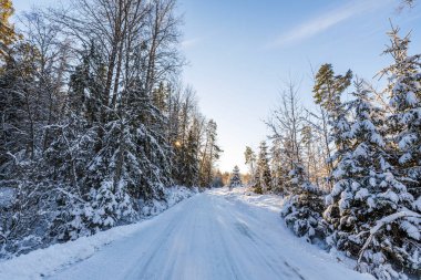 Kar ormanlarında gün batımının muhteşem renkli manzarası. Güzel doğa kış arka planı. İsveç.