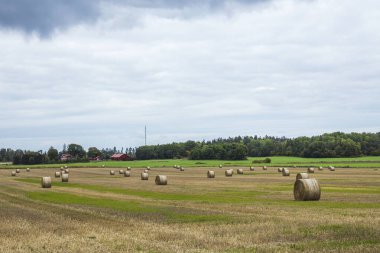 Güzel bir tarla manzarası ve biçilmiş saman balyaları. İsveç. 