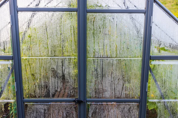 Beautiful View Greenhouse Condensation Windows Walls Organic Gardening Concept Sweden — Stock Photo, Image