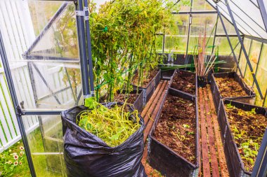 Bahçe yataklarının yükseltildiği ve gübre torbalarının sonbahar sebze hasadının arka planında kuru bitkilerle dolu olduğu sera. İsveç.