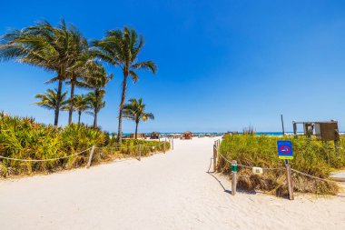Sandy path leading to Miami Beach with palm trees green plants and Atlantic Ocean on background. Miami Beach. USA. 