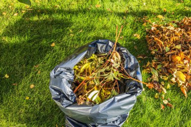 Kesilmiş şakayık çiçekleri ve yeşil sonbahar çimlerine dökülen yapraklarla dolu plastik poşeti yakından izle. İsveç.