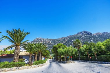 Palmiye ağaçları ve açık mavi gökyüzünün arka planında dağ manzarasına uzanan yeşil çalılarla kaplı bir yol. Yunanistan. Kos.