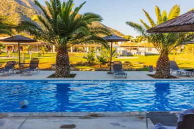 Güneşli bir öğleden sonra tropikal bir tatil köyünde yüzme havuzunun etrafındaki palmiye ağaçlarının ve güneş pansiyonlarının manzarasını kapat. Yunanistan. Kos. 