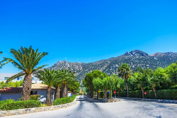 Palmiye ağaçları ve açık mavi gökyüzünün arka planında dağ manzarasına uzanan yeşil çalılarla kaplı bir yol. Yunanistan. Kos.