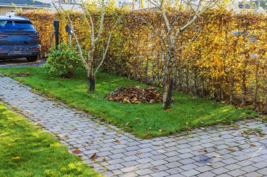 Elektrikli araba şarj istasyonu ve yeşil çimen arka planında sonbahar yaprakları olan bir villa. İsveç.