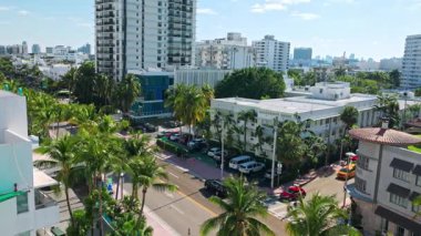 Collins Bulvarı 'nın üstünden Miami Plajı' na bak. Palmiye ağaçları otelleri taşınıyor ve arka planda ufuk çizgisi var. Miami Plajı. ABD. 