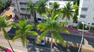 Collins Bulvarı 'nın üstünden, Miami Plajı' nda palmiye ağaçları otelleri ve arka planda hareket eden arabalarla manzarayı izleyin. Miami Plajı. ABD. 