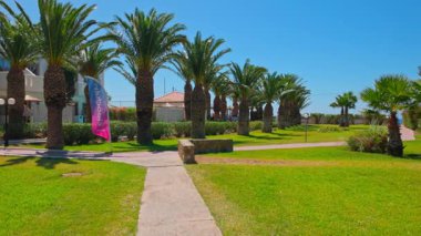 Yürüme yolları ve mavi gökyüzünün arka planında yeşil çimenleri olan oteldeki palmiye ağaçları. Kos. Yunanistan.