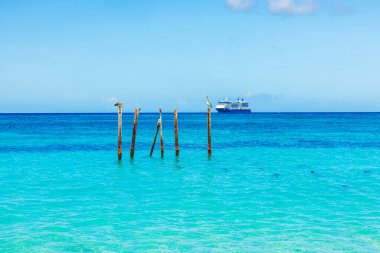 Turkuaz Karayip Denizi 'nin güzel manzarası. Tahta direklerde pelikanlar ve Eagle Beach yakınlarında bir yolcu gemisi. Aruba.