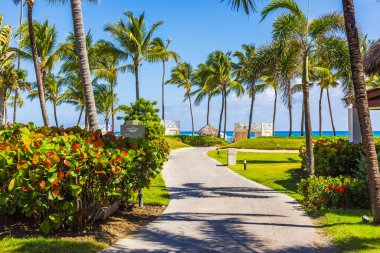 Parlak tropikal tatil yeri manzaralı Atlantik Okyanusu sahiline uzanan güzel bir palmiye yolu manzarası. Punta Cana. Dominik Cumhuriyeti.