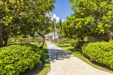 Yeşil yemyeşil otellerin ve tatil beldelerinde palmiye ağaçlarının bulunduğu otelin güzel manzarası. Punta Cana. Dominik Cumhuriyeti. 