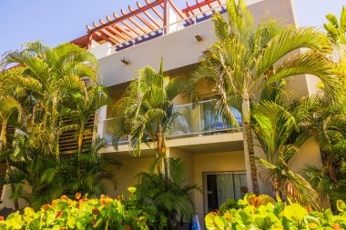Yüksek palmiye ağaçları ve güneşli bir günde parlak yeşil çalıların çerçevelediği otel balkonlarının yakın görüntüsü. Punta Cana. Dominik Cumhuriyeti.