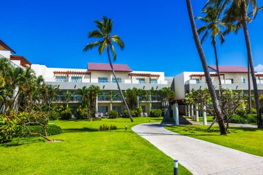 Parlak güneşli bir günde yüksek palmiye ağaçları, yeşil çimenler ve kıvrımlı yürüyüş yolu olan güzel bir otel manzarası. Punta Cana. Dominik Cumhuriyeti. 