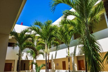 Arka planda oda kapıları olan açık hava otel avlusundaki uzun palmiye ağaçlarının güzel manzarası. Punta Cana. Dominik Cumhuriyeti. 