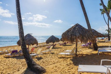 Palmiye ağaçları ve parıldayan Atlantik Okyanusu 'na bakan saman şemsiyeleriyle kumlu güzel bir sahil manzarası. Punta Cana. Dominik Cumhuriyeti.