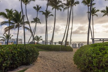 Arka planda palmiyeler ve kabinlerle Atlantik Okyanusu sahiline giden kumlu yolun güzel manzarası. Punta Cana. Dominik Cumhuriyeti. 