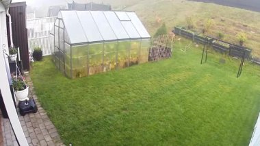 Güvenlik kamerası, sera yakınlarındaki sisli sabah bahçesinde yürüyen üç genç geyiği yakalıyor. İsveç.