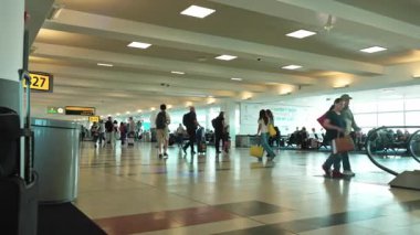 Havaalanı içi, yolcu taşıyan elektrikli arabalarla dolu güzel bir havaalanı manzarası. Miami mi? ABD.