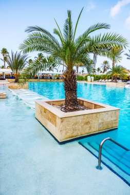 Otel bölgesinde yüzme havuzunda yetişen turkuaz su ve tropikal atmosferli palmiye ağaçlarının güzel manzarası..