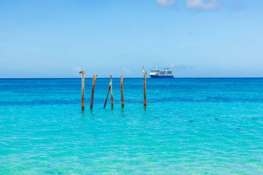 Güzel bir Karayip Denizi manzarası. Pelikanlar tahta direklerin üzerinde, yolcu gemisinin arka planında dinleniyor. Aruba.